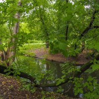 ***** :: юрий поляков