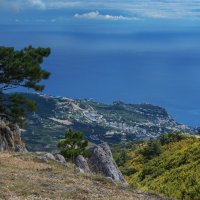 ... :: Сергей Лысенко