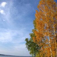 краски осени :: Игорь 