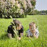 ... :: ВЛАДИМИР 