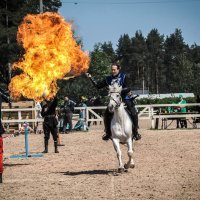 На конной выставке :: Магомед .