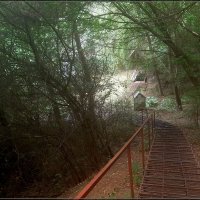 К источнику Сергия Радонежского :: Сеня Белгородский