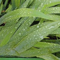 Было дождливо :: Валерий Иванович Было дождливо :: Валерий Иванович