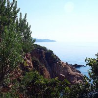 Барселона. :: Владимир Драгунский