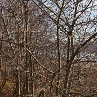 Назва. отсу. :: Денис Безногов