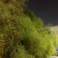 13  ОПЕН (136) :: OPEN WAYS ALL