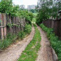 Дорога к храму :: Анатолий Колосов Дорога к храму :: Анатолий Колосов