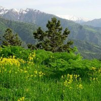 ПО ГОРАМ. :: Виктор Осипчук