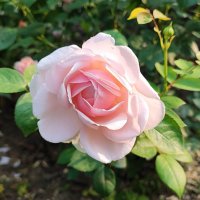 ,,, :: Сергей Тимоновский