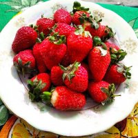 ***** :: Елена Семигина ***** :: Елена Семигина