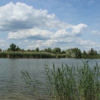 Местные виды. :: Виктор 