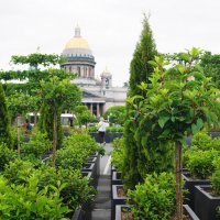 /// :: Виктор Никитенко /// :: Виктор Никитенко