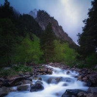 *** :: Николай Колобов