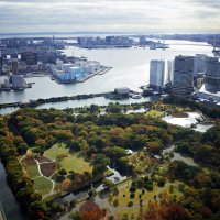 Токио через окно :: Civetta ***