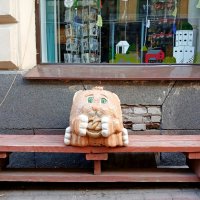 А вот и сама "Рыжая лапка". :: Лия ☼ А вот и сама "Рыжая лапка". :: Лия ☼