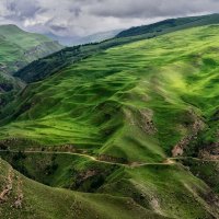 *** :: Геннадий Чеботарев