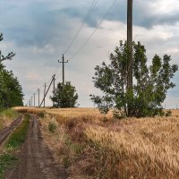 Перед дождём :: Валерий Ткаченко