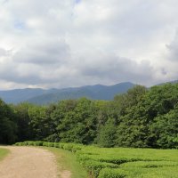 *** :: Александр Николаев