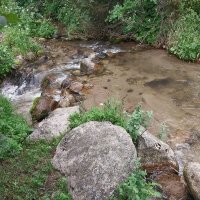 Talgar. :: Murat Bukaev 