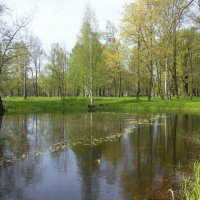Стрельна. Орловский парк :: Наталья Герасимова