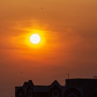 На закате дня. :: Виктор Иванович Чернюк На закате дня. :: Виктор Иванович Чернюк