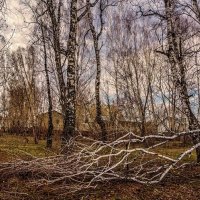 Панорама :: SanSan 