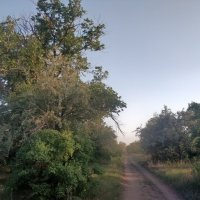 Эх дороги... :: Андрей Хлопонин Эх дороги... :: Андрей Хлопонин