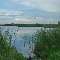 Рыбное место :: Сергей Швечков