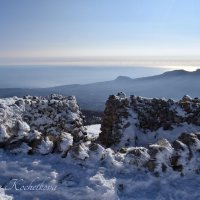 Природа Крыма :: Amazing Cosmea