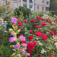 ,,, :: Сергей Тимоновский