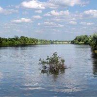 Река Клязьма :: Александр Ильчевский Река Клязьма :: Александр Ильчевский