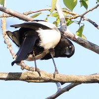 Я оглянулся посмотреть.... :: Павел Fotoflash911 Никулочкин