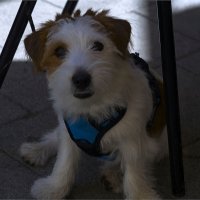 И все таки она красиво позирует  :: ujgcvbif 