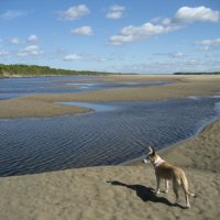 Лето :: Anna Ivanova