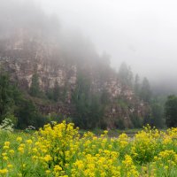 Лето... внезапно :: Евгений Тарасов 