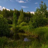 Родные берега 8 :: Андрей Дворников