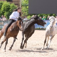 *** :: Алексей Смирнов