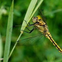 из снятого сегодня 2 :: Александр Прокудин из снятого сегодня 2 :: Александр Прокудин