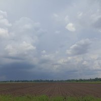 Перед грозой. :: Pippa 