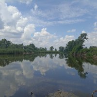 Летним днём. :: Pippa 