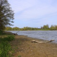 Стрельна. Орловский парк :: Наталья Герасимова Стрельна. Орловский парк :: Наталья Герасимова