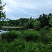 * * * :: Андрей Лукьянов