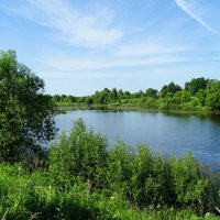 Летний пейзаж. :: Милешкин Владимир Алексеевич 