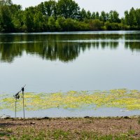 р.Урал :: Петр р.Урал :: Петр
