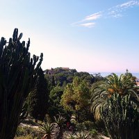 Барселона. :: Владимир Драгунский