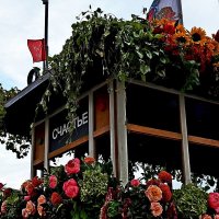 Вот оно - счастье! :: Vladimir Semenchukov