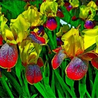 ЛЕТО :: Юрий Владимирович 34