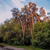 С Богом по любым дорогам! :: Елена Хайдукова  ( Elena Fly )