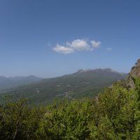 Природа Крыма :: Amazing Cosmea