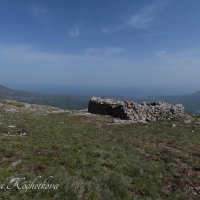 Природа Крыма :: Amazing Cosmea